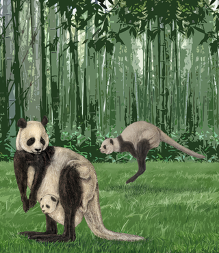 Illustration for article titled Unholy animal hybrids, as drawn by science illustrators